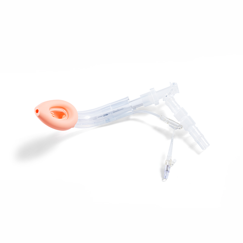 Specialis, Shaped Anti-Aspiratio Laryngeal larva Airway